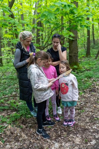 SČ 2024 - Záchrana zakletého lesa (72)